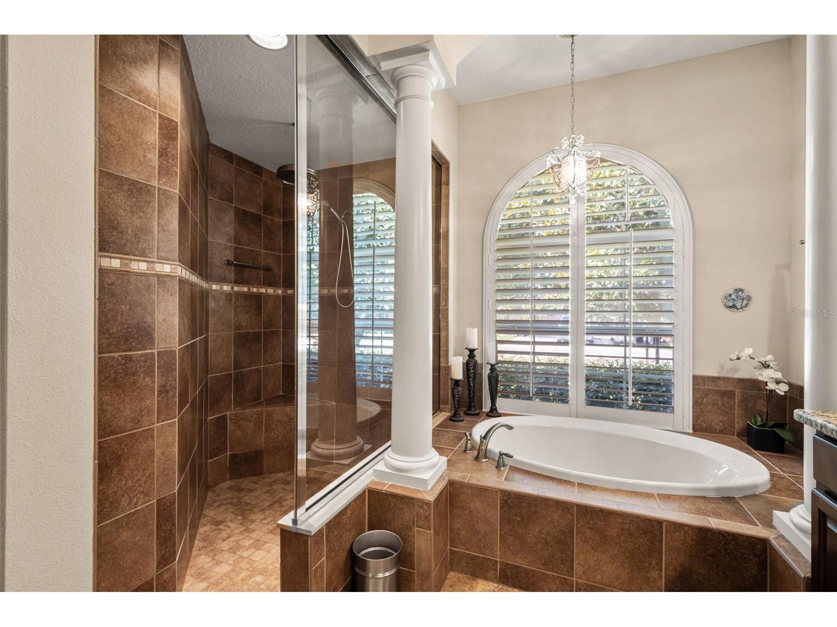 15103 Azra Drive Odessa FL 33556 TB8525415 image33