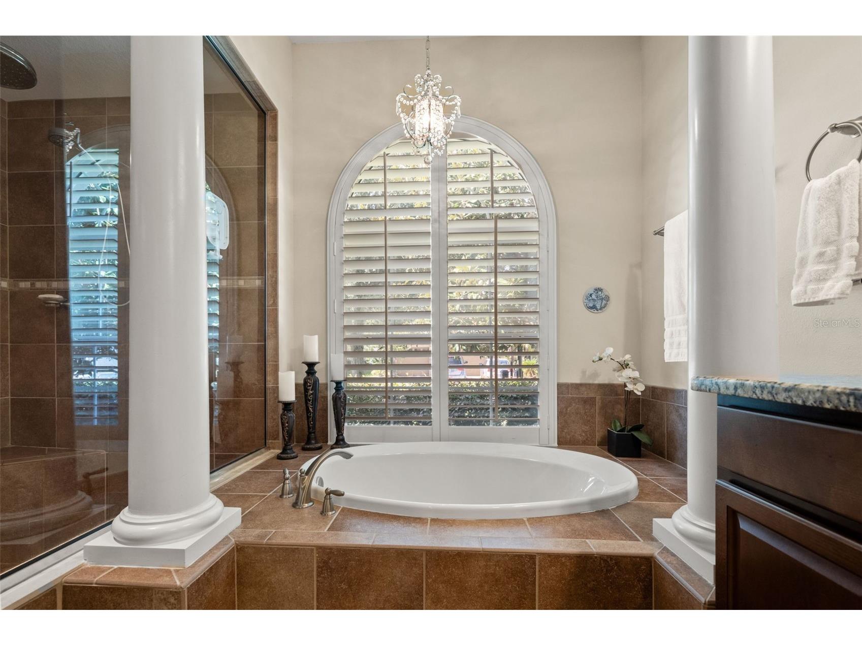 15103 Azra Drive Odessa FL 33556 TB8525415 image34