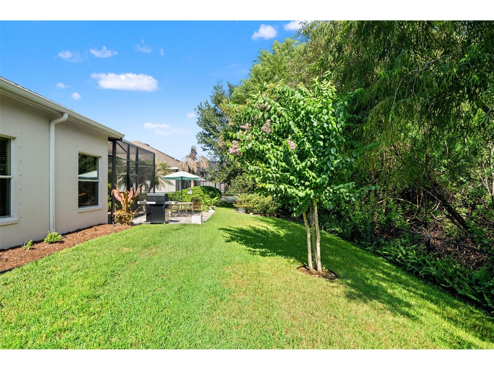 15103 Azra Drive Odessa FL 33556 TB8525415 image56