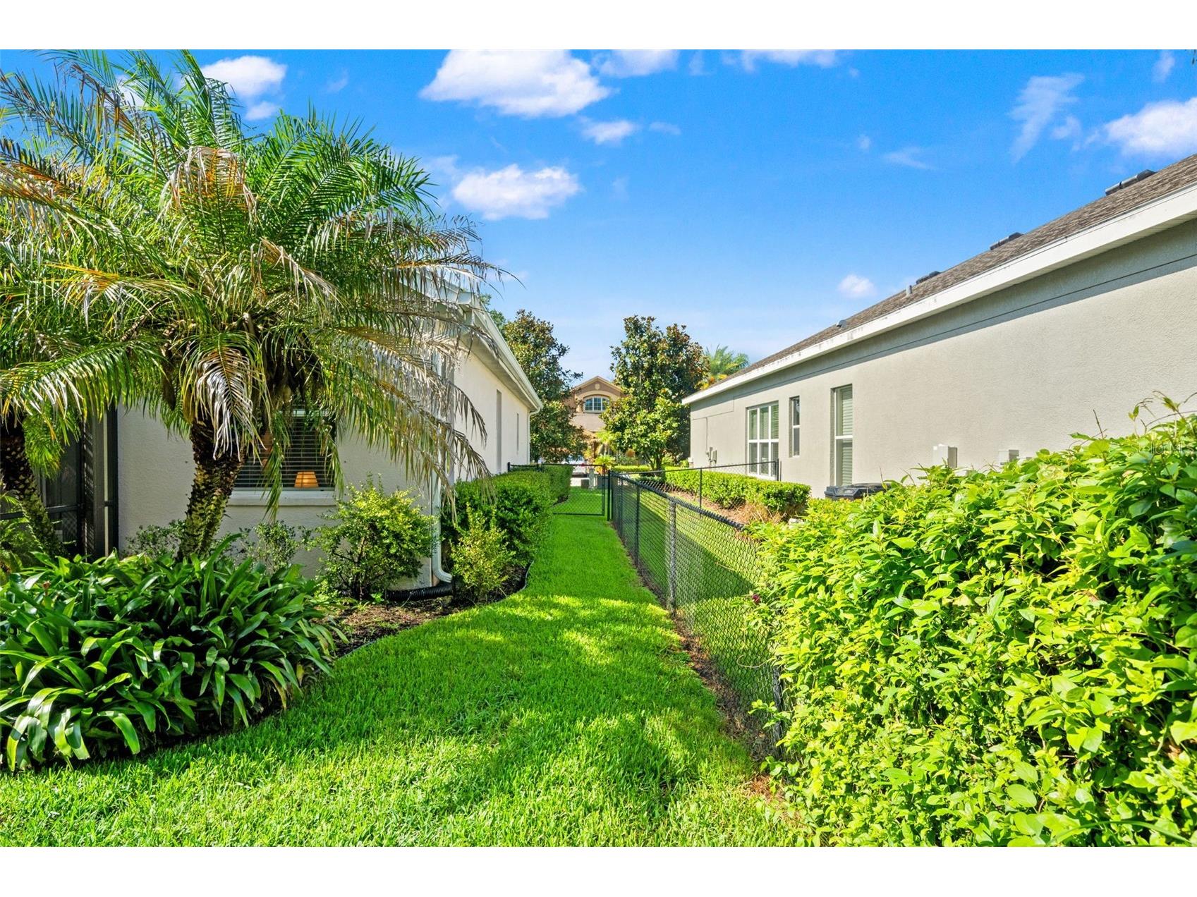15103 Azra Drive Odessa FL 33556 TB8525415 image58