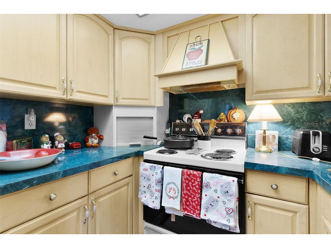 15104 Sandalwood Drive #104 Wildwood FL 34785 G5105742 image11