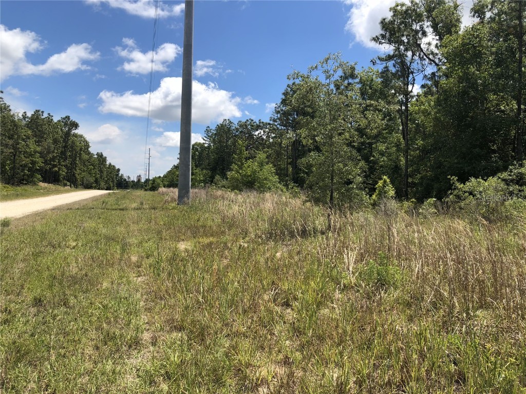 15107 Canvasback Road Brooksville FL 34614 O6271598 image4