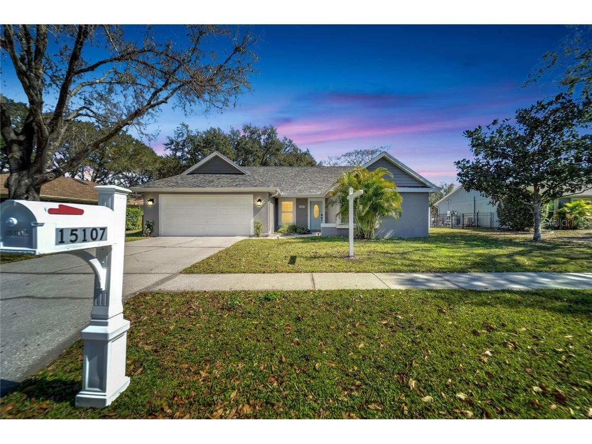 15107 Lake Holly Place Tampa FL 33625 U8189812 image1