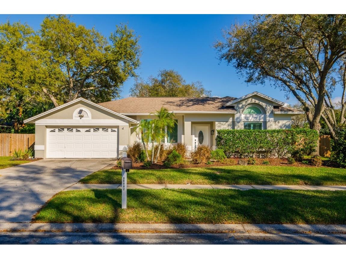 15107 Laurel Cove Circle Odessa FL 33556 TB8354128 image1