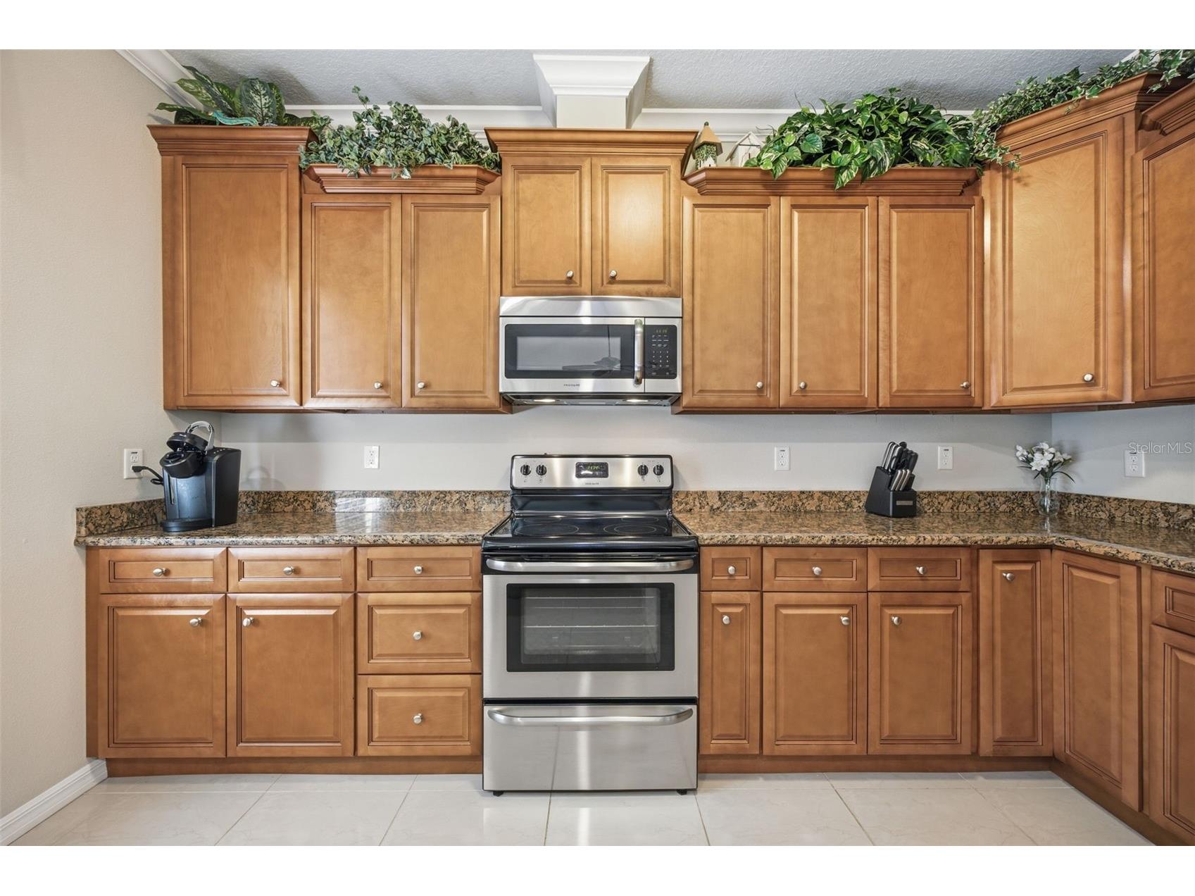 15107 Monet Drive Tampa FL 33613 TB8520733 image10