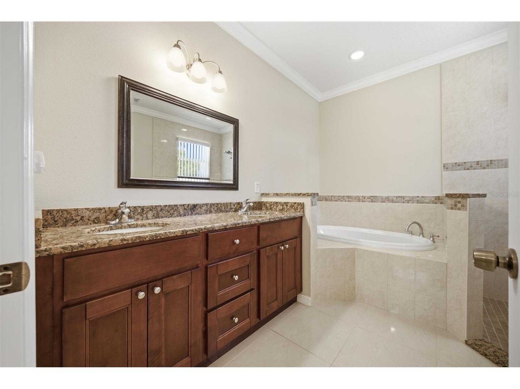 15107 Monet Drive Tampa FL 33613 TB8520733 image27