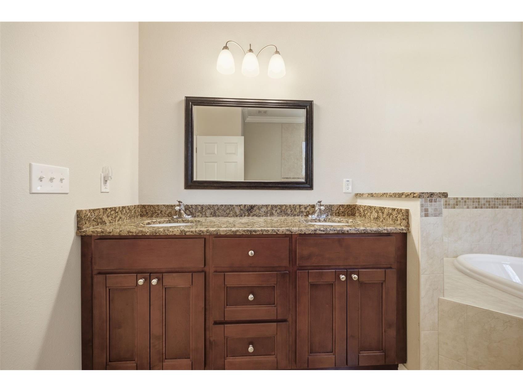15107 Monet Drive Tampa FL 33613 TB8520733 image28