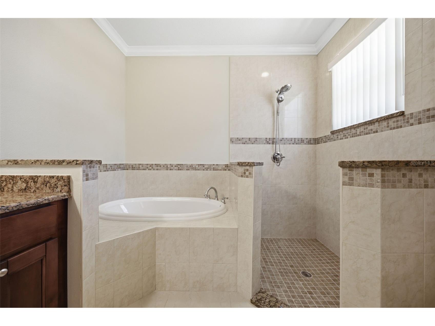 15107 Monet Drive Tampa FL 33613 TB8520733 image29