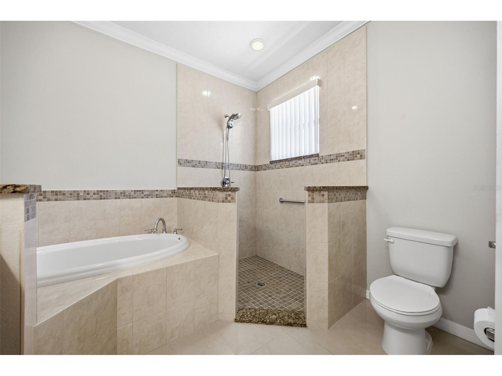 15107 Monet Drive Tampa FL 33613 TB8520733 image30