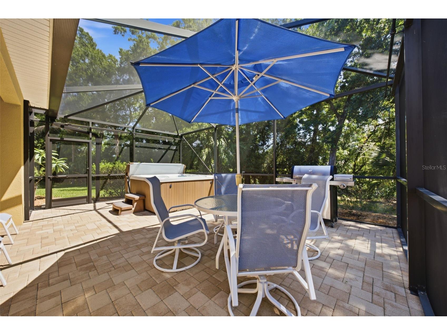 15107 Monet Drive Tampa FL 33613 TB8520733 image34