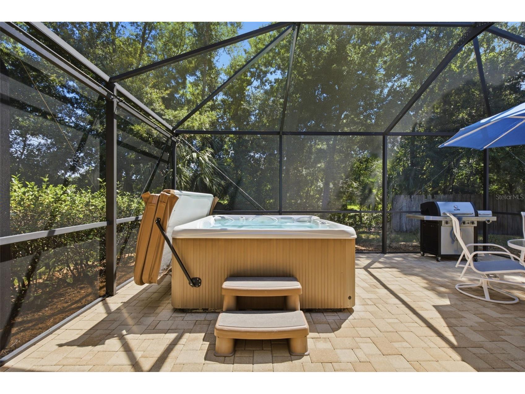 15107 Monet Drive Tampa FL 33613 TB8520733 image36