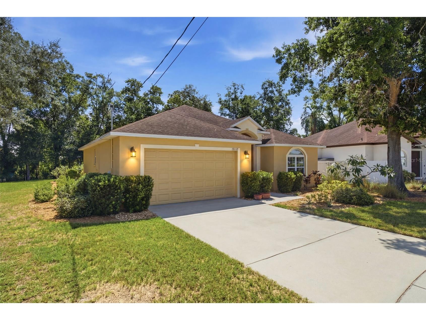 15107 Monet Drive Tampa FL 33613 TB8520733 image41