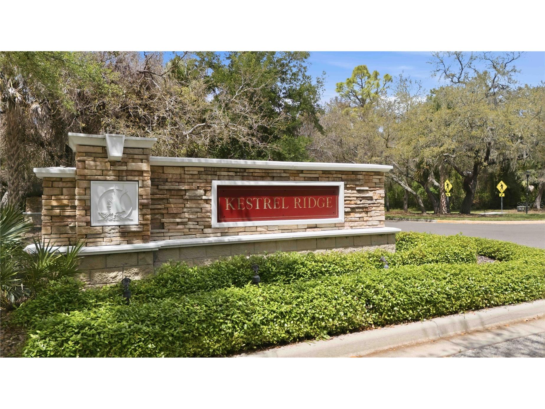 15108 Kestrelglen Way Lithia FL 33547 TB8493744 image49