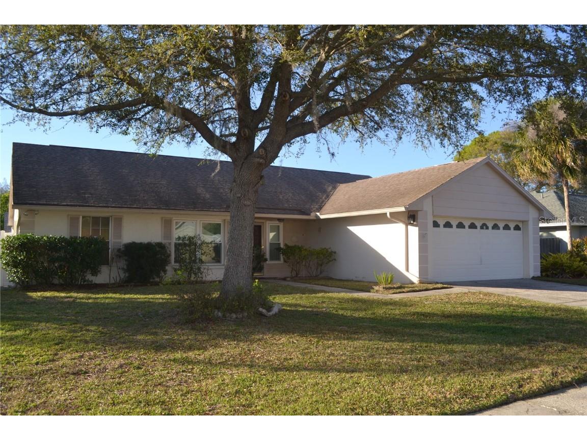 15108 Roundup Drive Tampa FL 33624 T3360418 image1