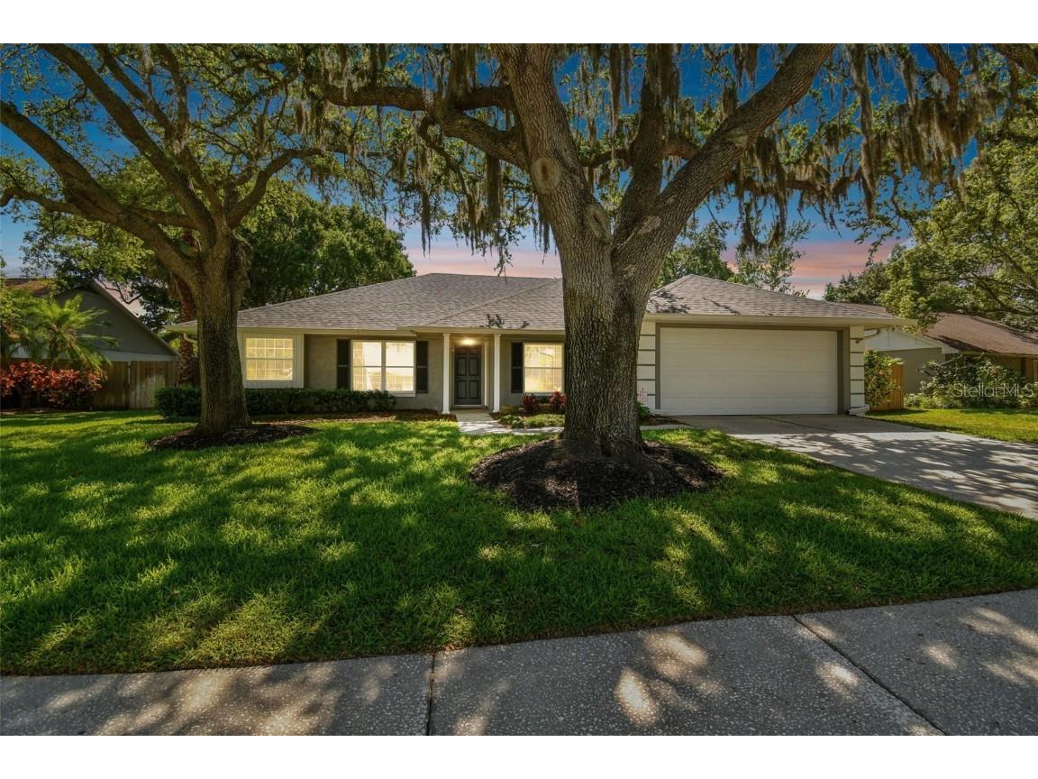 15109 Lynx Drive Tampa FL 33624 T3520613 image1