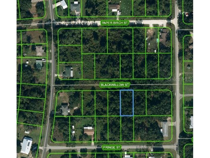 1511 Blackwillow Street Lake Placid FL 33852 OM624739 image1