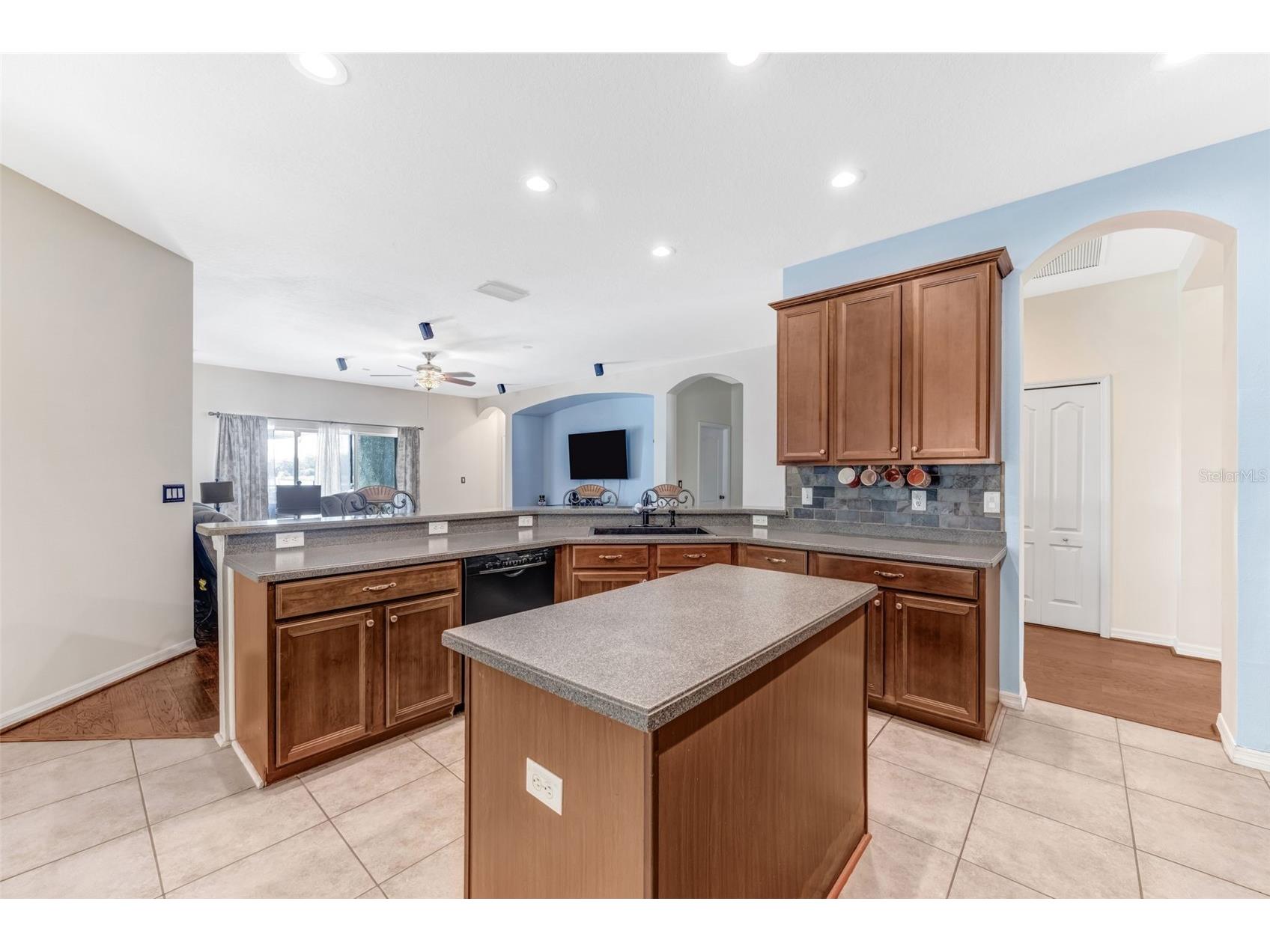 1511 Bonita Bluff Court Ruskin FL 33570 A4676583 image10