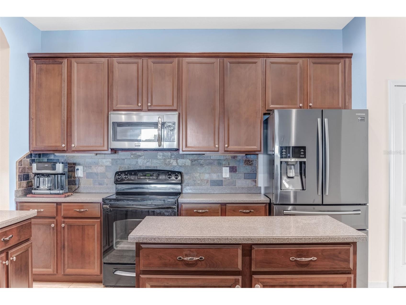 1511 Bonita Bluff Court Ruskin FL 33570 A4676583 image12