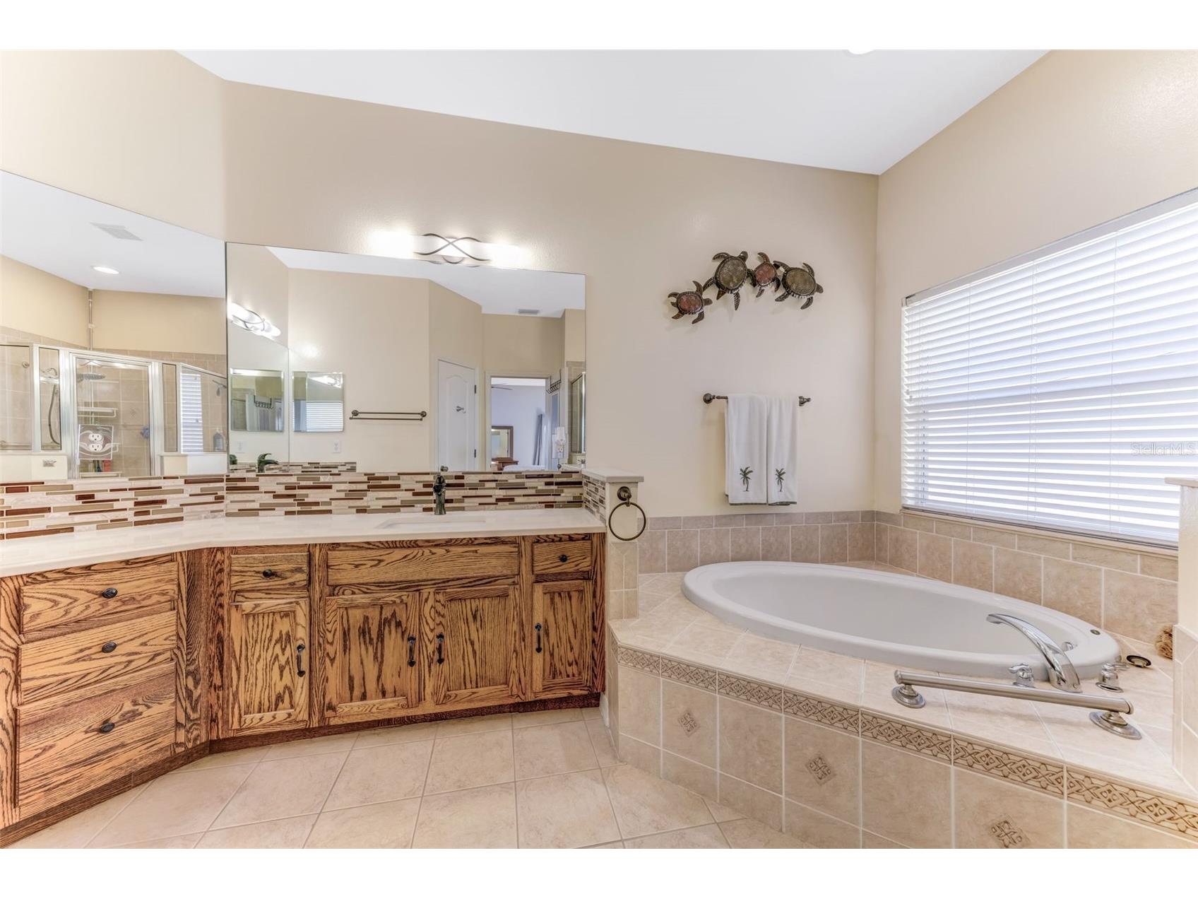 1511 Bonita Bluff Court Ruskin FL 33570 A4676583 image25