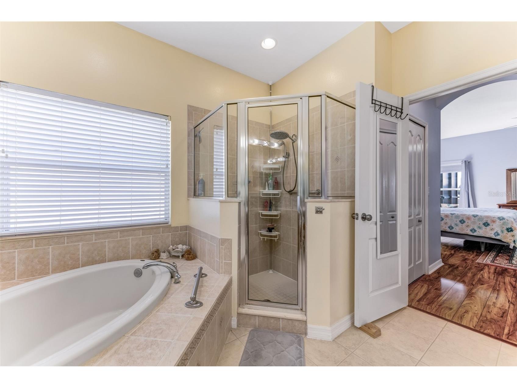 1511 Bonita Bluff Court Ruskin FL 33570 A4676583 image27