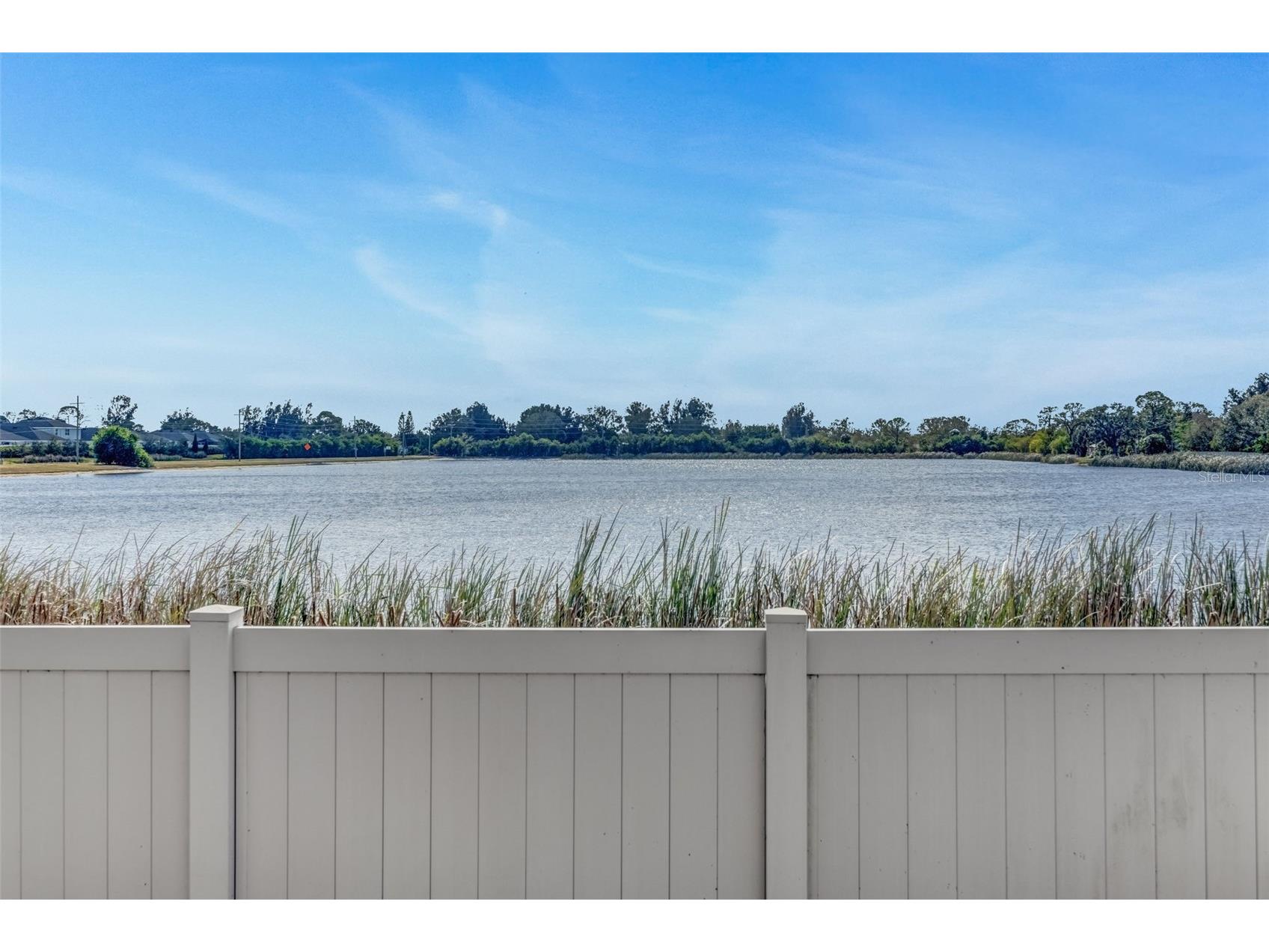 1511 Bonita Bluff Court Ruskin FL 33570 A4676583 image43