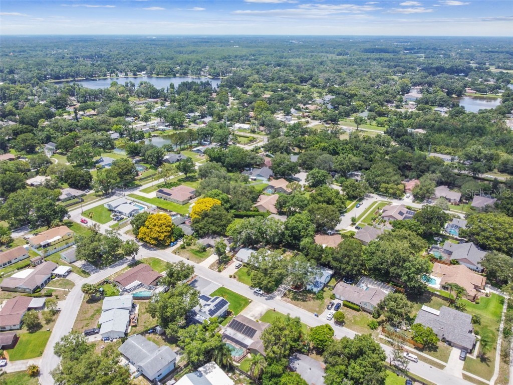 1511 Bonniebrook Drive Lutz FL 33549 U8203961 image1