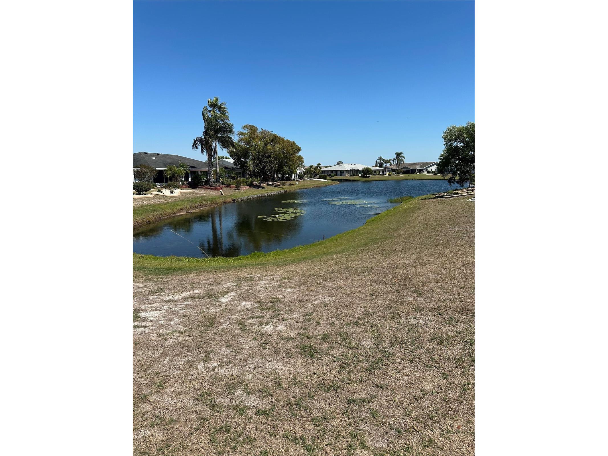 1511 Cloister Drive Sun City Center FL 33573 TB8486596 image4