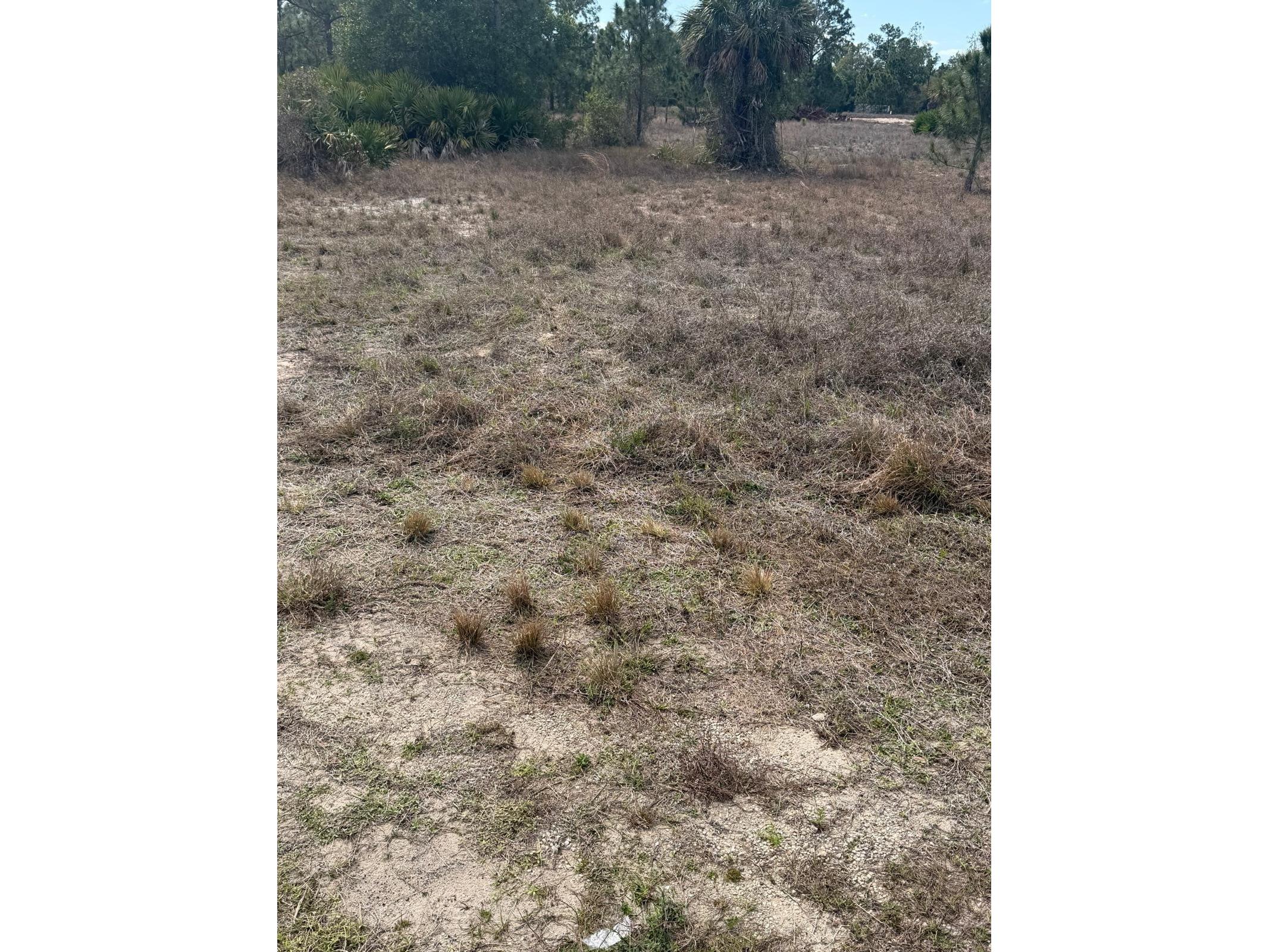 1511 Columbus Avenue Lehigh Acres FL 33972 TB8489461 image1