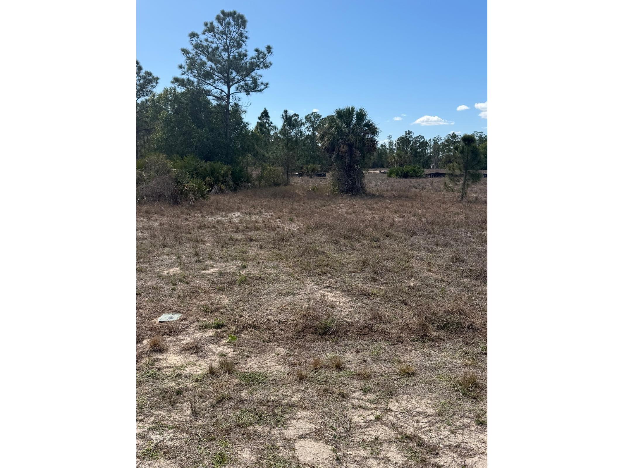 1511 Columbus Avenue Lehigh Acres FL 33972 TB8489461 image2