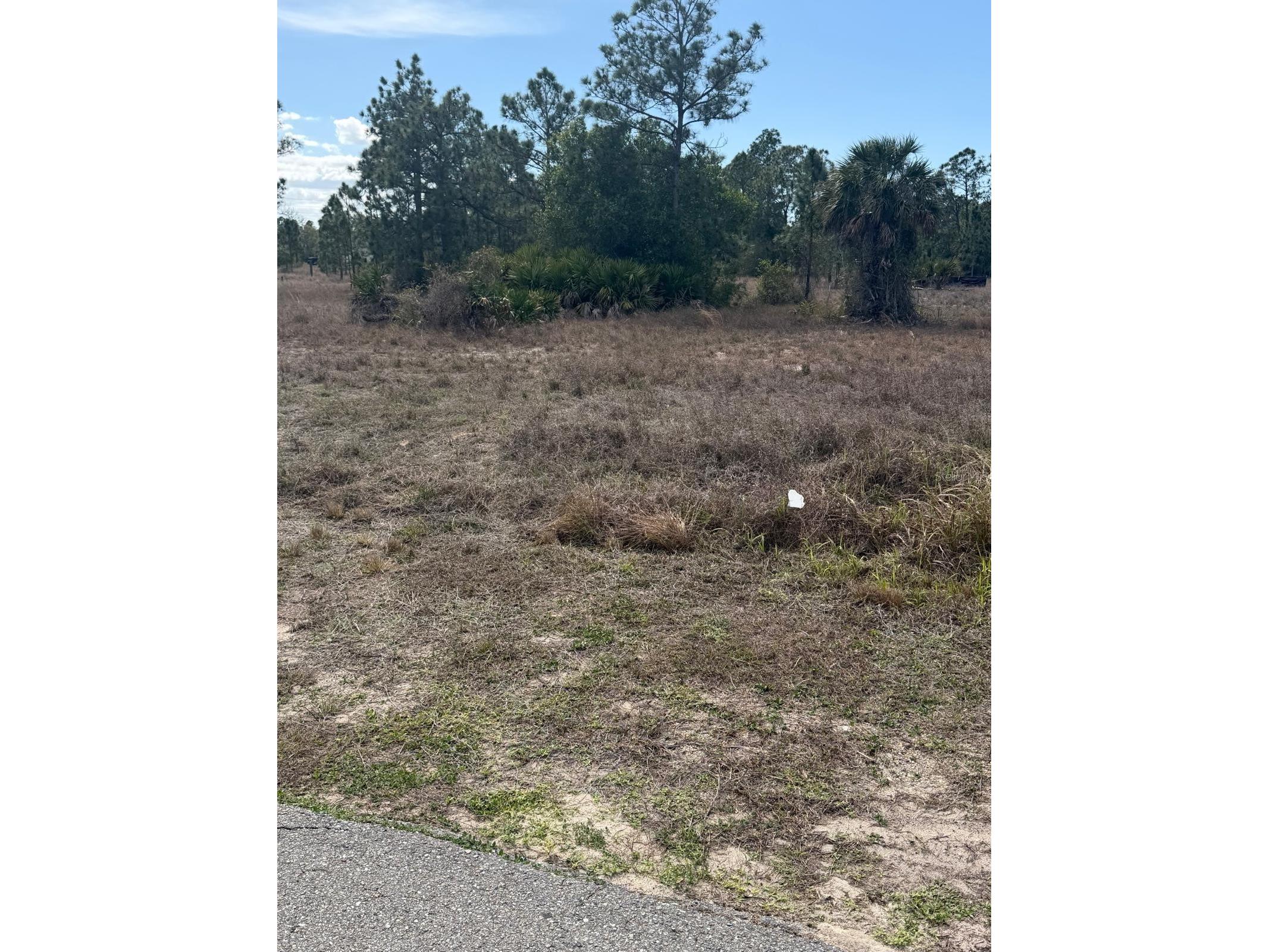 1511 Columbus Avenue Lehigh Acres FL 33972 TB8489461 image3
