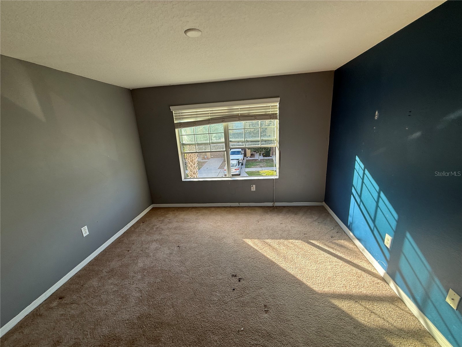 1511 Harbour Blue Street Ruskin FL 33570 TB8473116 image5