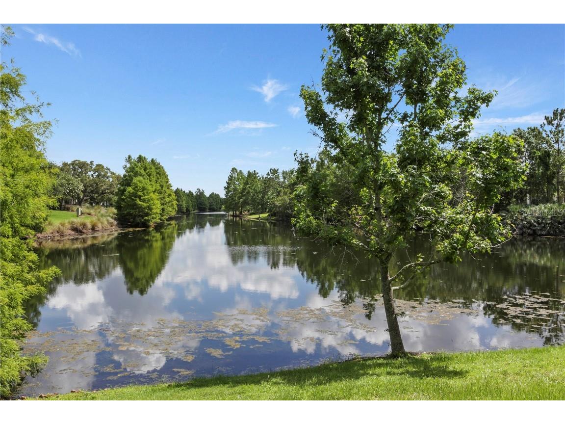 1511 Harston Avenue Orlando FL 32814 - LAKE SUSANNAH O6363907 image83