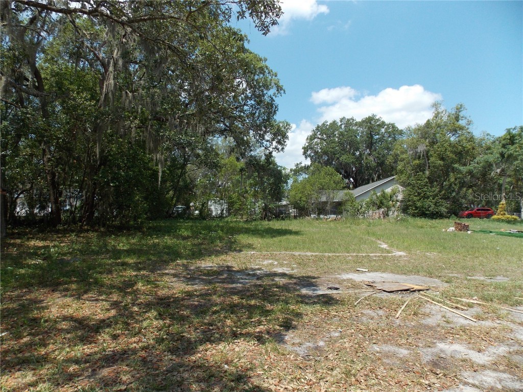 1511 N Simpson Street Mount Dora FL 32757 G5068911 image1
