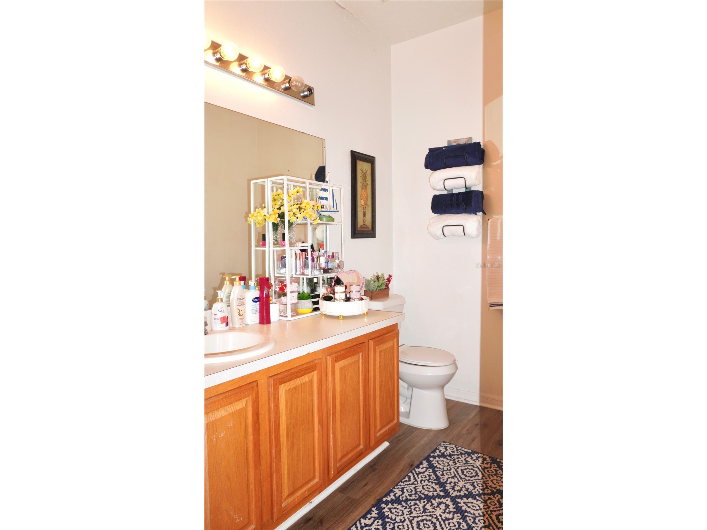 1511 Pine Ridge Drive Davenport FL 33896 O6373691 image14