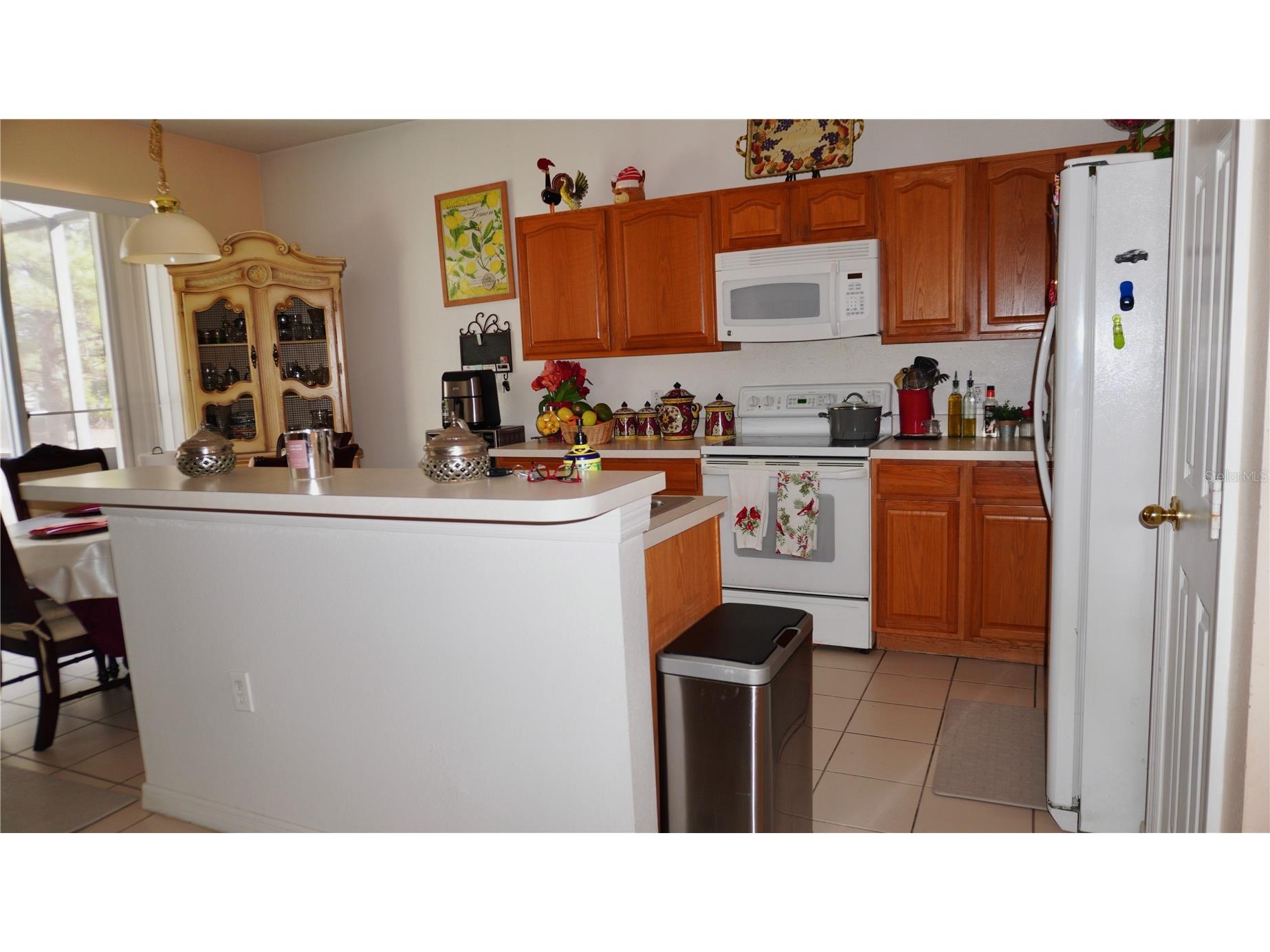1511 Pine Ridge Drive Davenport FL 33896 O6373691 image16