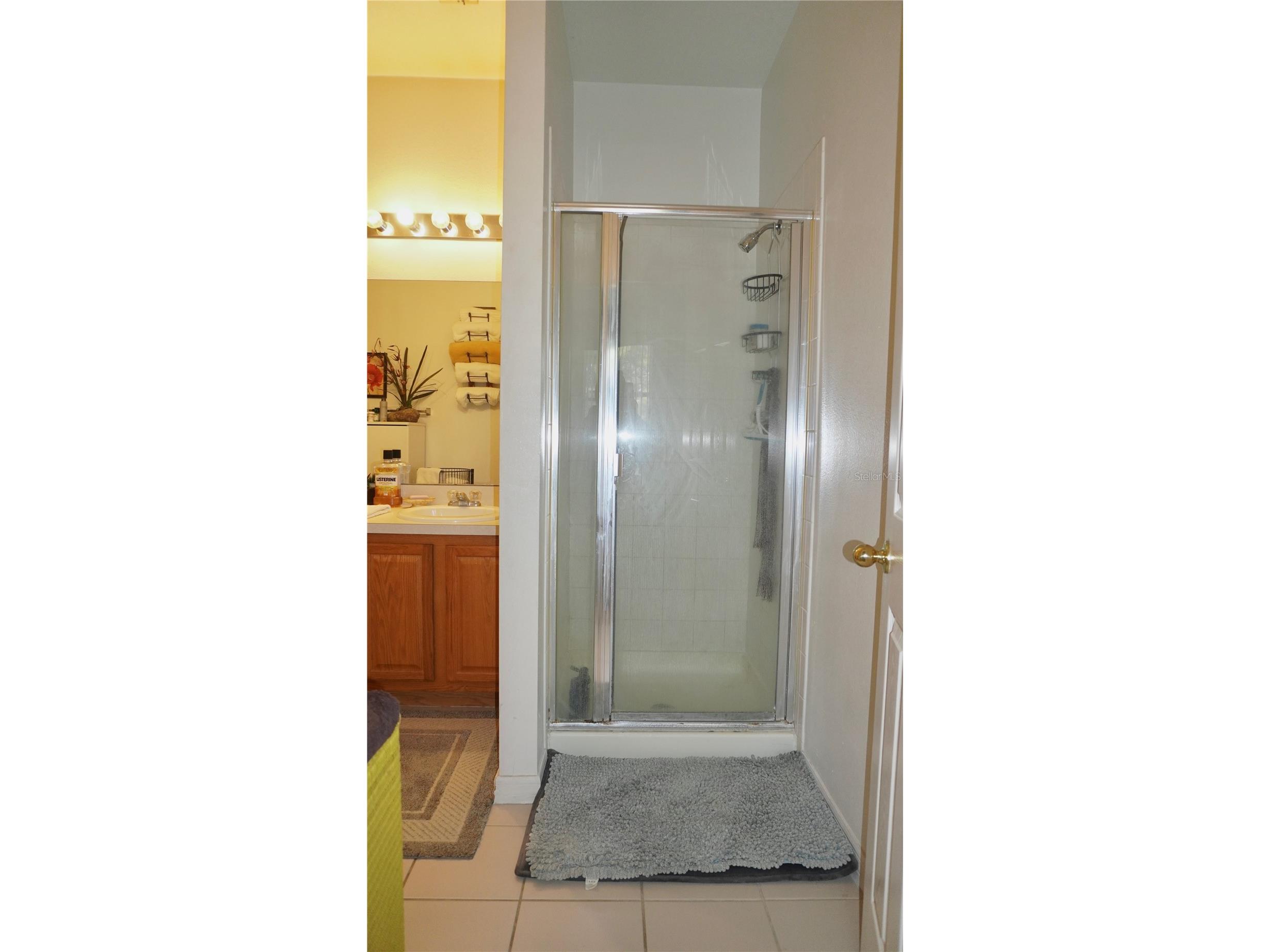 1511 Pine Ridge Drive Davenport FL 33896 O6373691 image21