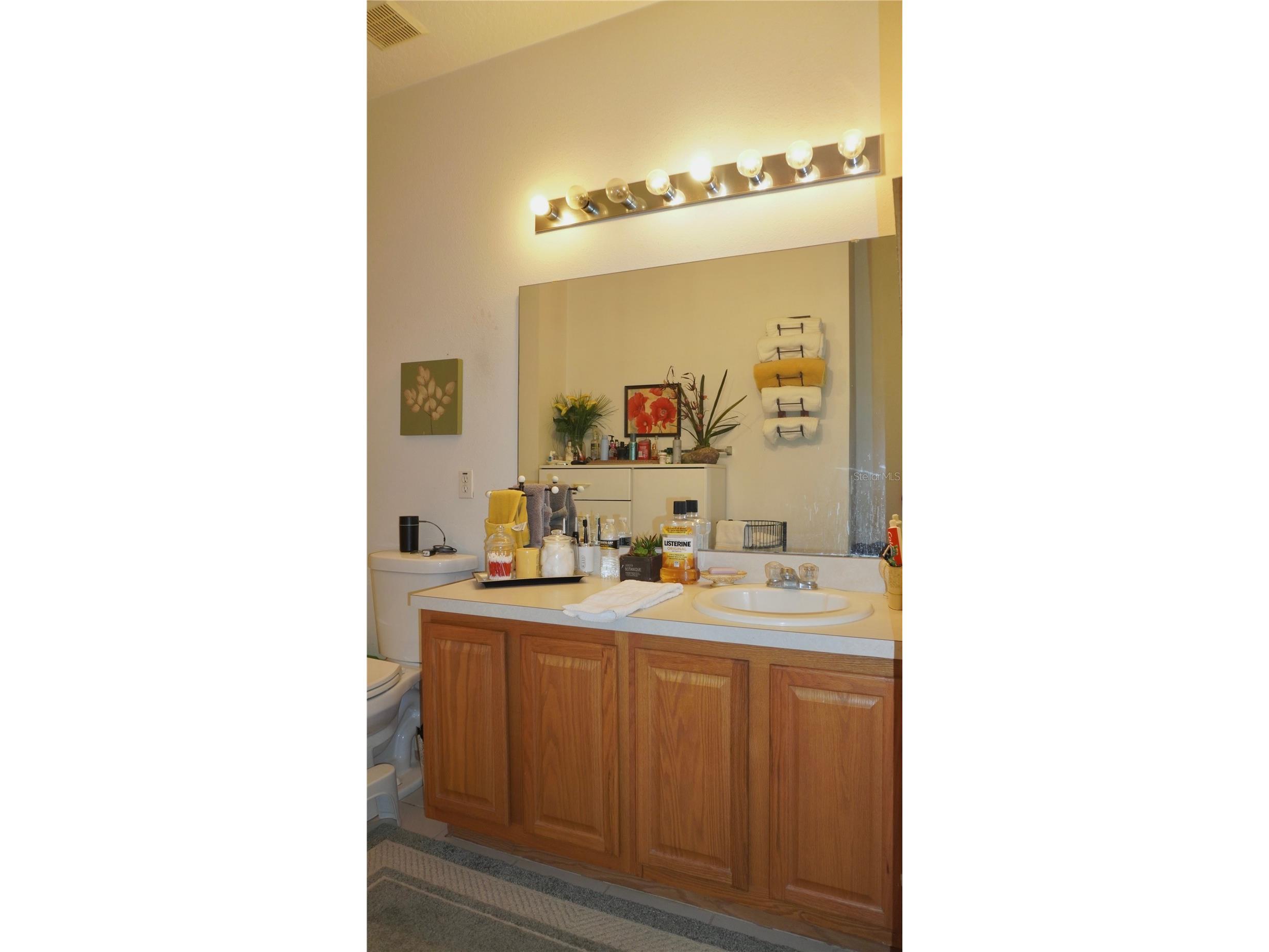 1511 Pine Ridge Drive Davenport FL 33896 O6373691 image22