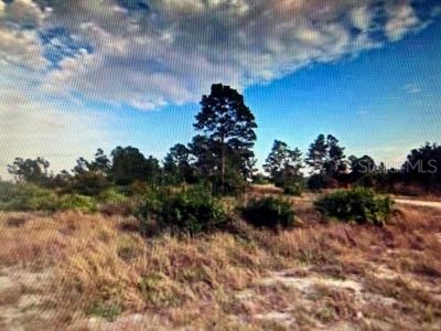 1511 Sally Avenue S Lehigh Acres FL 33976 A4573747 image1