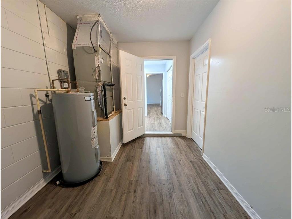 1511 SW Shorewood Drive Dunnellon FL 34431 - TIGER LAKE BONABLE LAKE TB8451837 image18