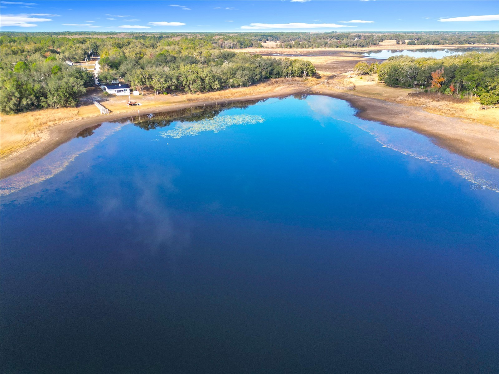 1511 SW Shorewood Drive Dunnellon FL 34431 - TIGER LAKE BONABLE LAKE TB8454511 image40