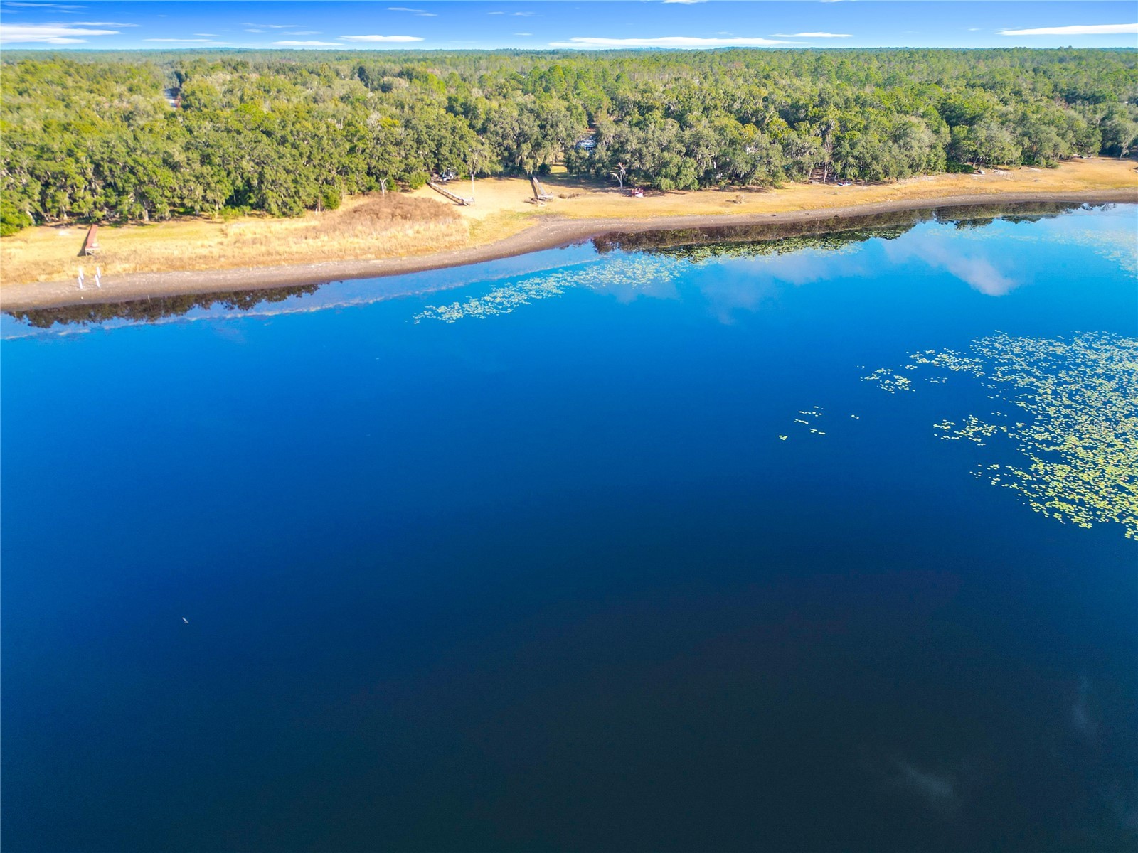 1511 SW Shorewood Drive Dunnellon FL 34431 - TIGER LAKE BONABLE LAKE TB8454511 image41