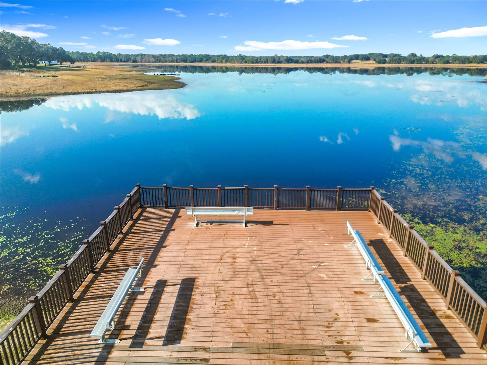 1511 SW Shorewood Drive Dunnellon FL 34431 - TIGER LAKE BONABLE LAKE TB8454511 image42