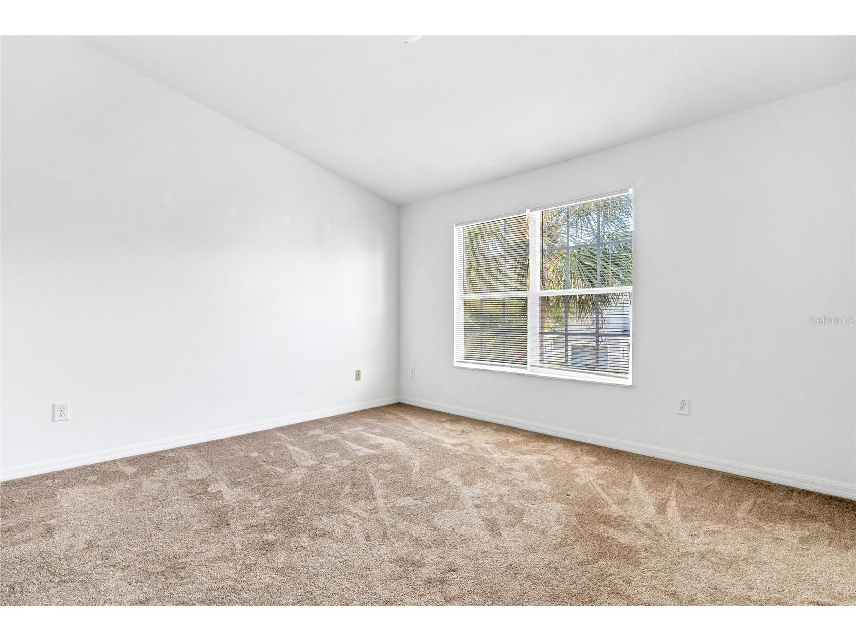 1511 Talisker Drive Clearwater FL 33755 TB8469084 image14