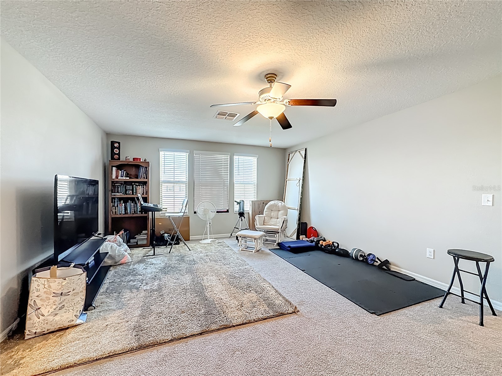 1511 Tiger Tooth Place Ruskin FL 33570 S5143970 image38