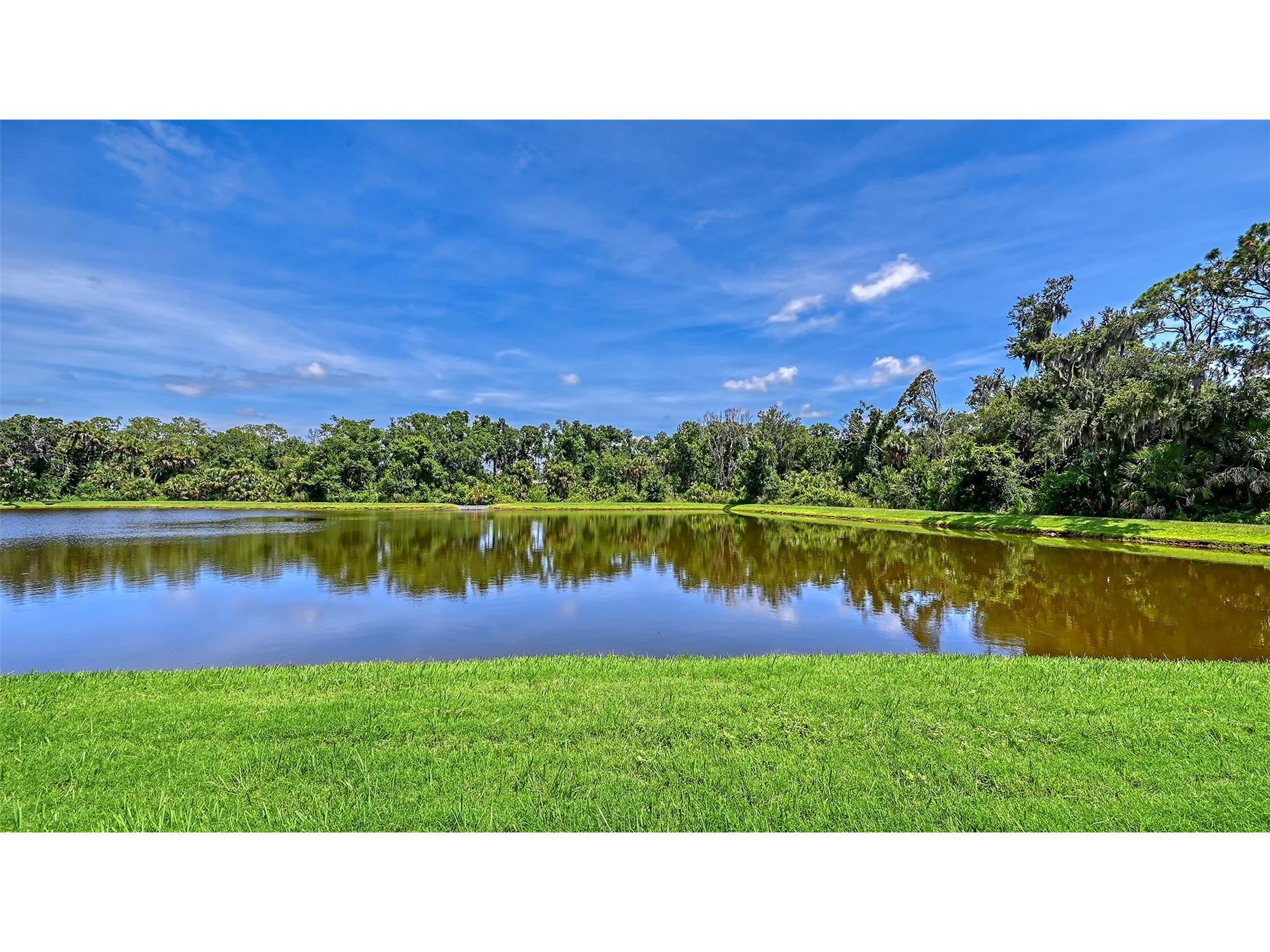 15112 Las Olas Place Bradenton FL 34212 A4696584 image54