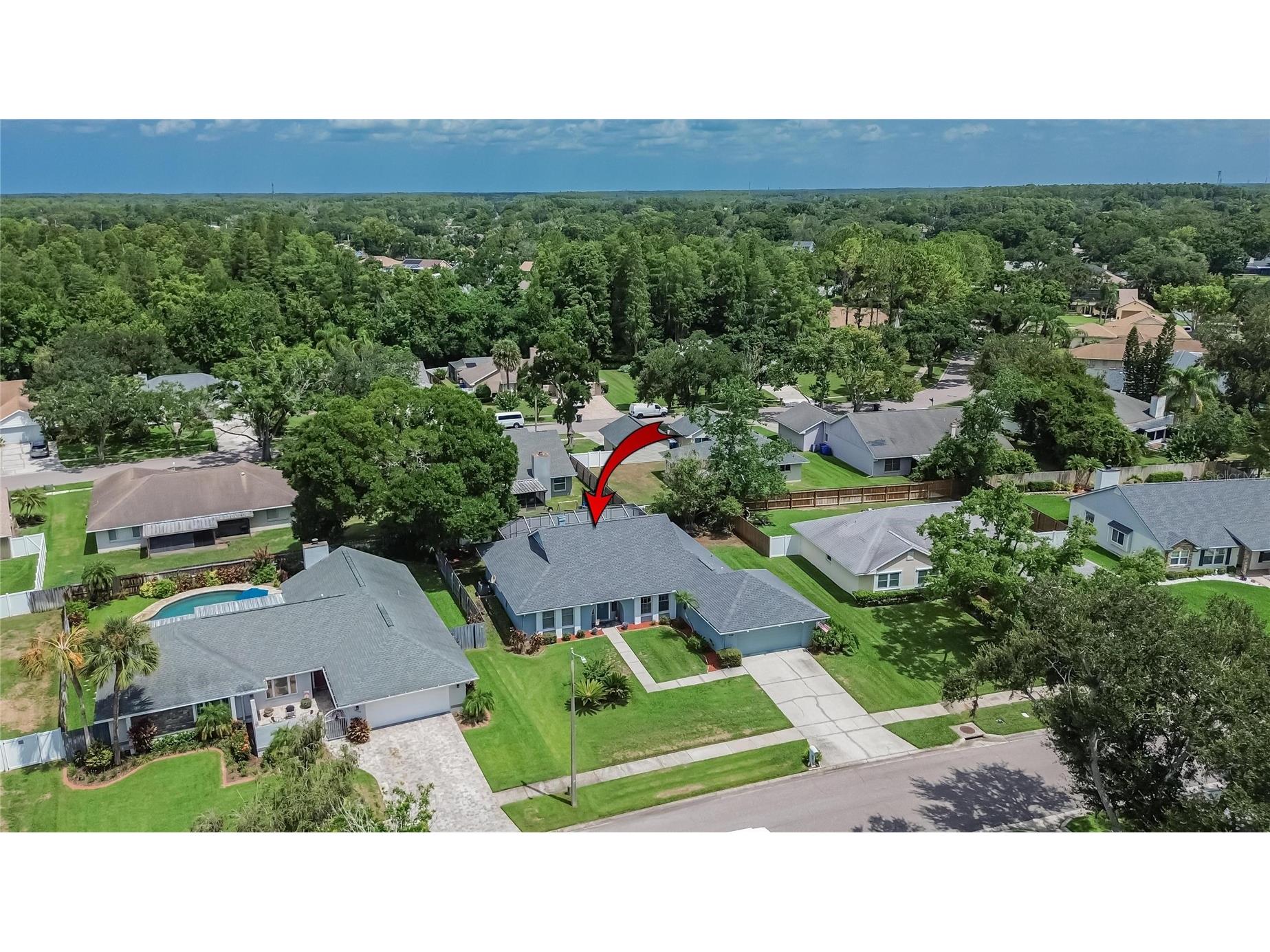15112 Roundup Drive Tampa FL 33624 TB8529112 image40