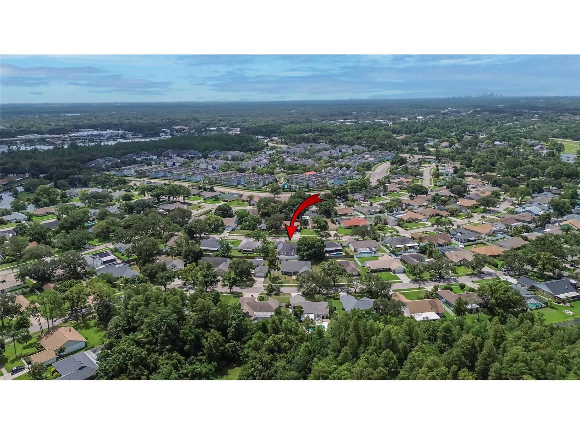 15112 Roundup Drive Tampa FL 33624 TB8529112 image45