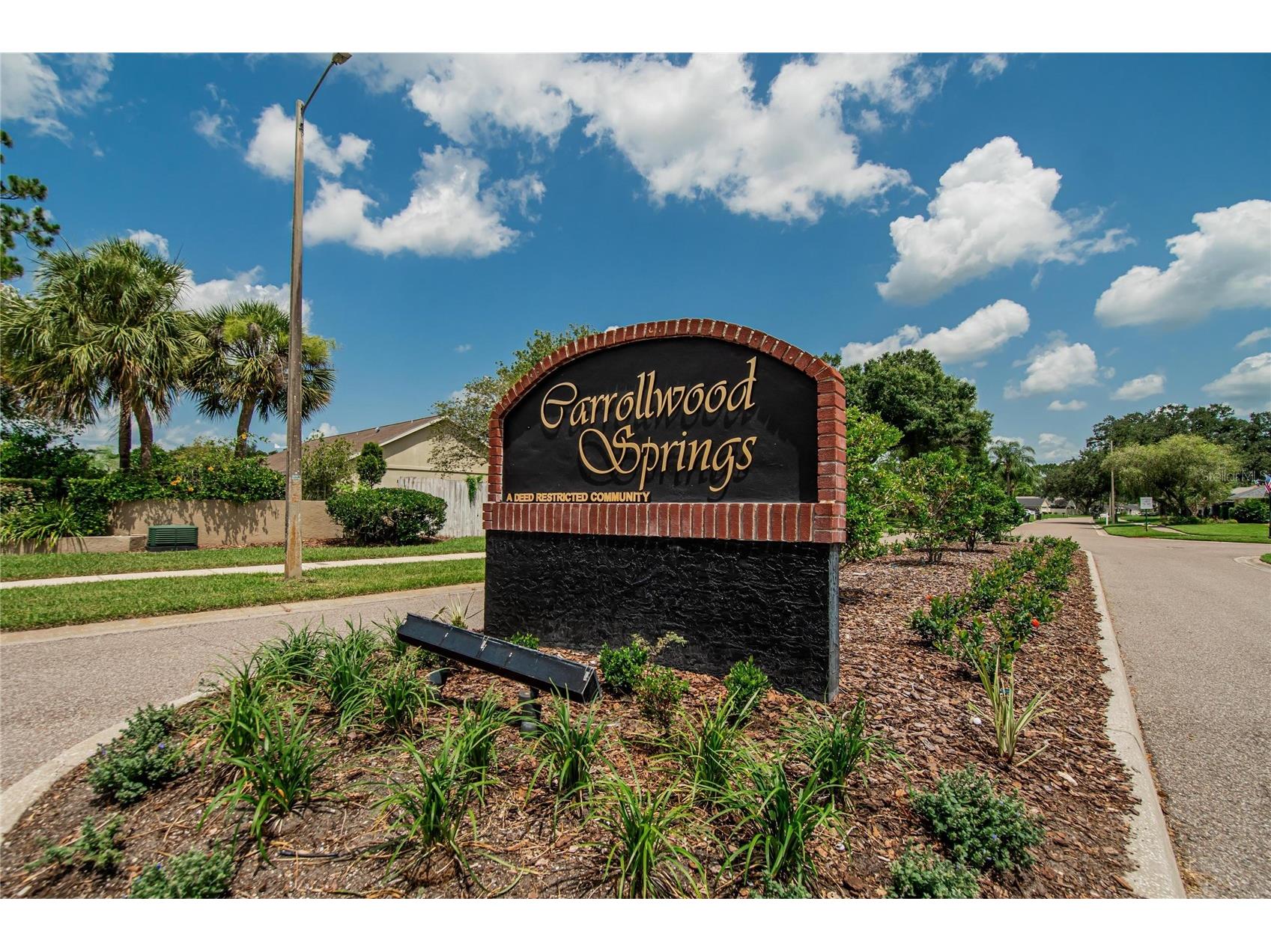 15112 Roundup Drive Tampa FL 33624 TB8529112 image46