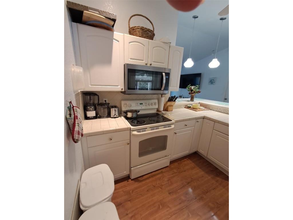 15113 Gulistan Avenue Port Charlotte FL 33953 N6141687 image12