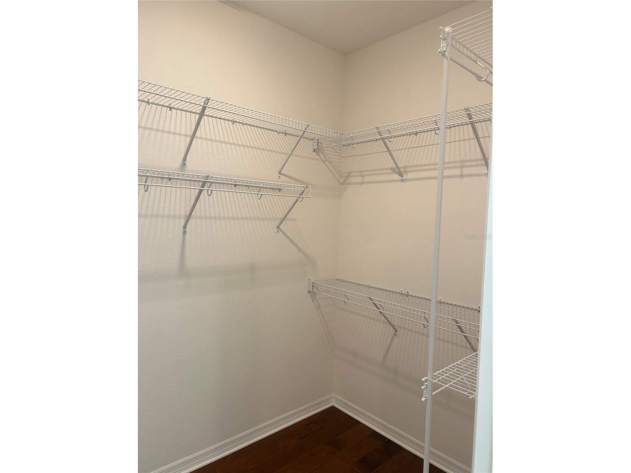 15113 White Wagtail Lane Winter Garden FL 34787 O6388369 image19